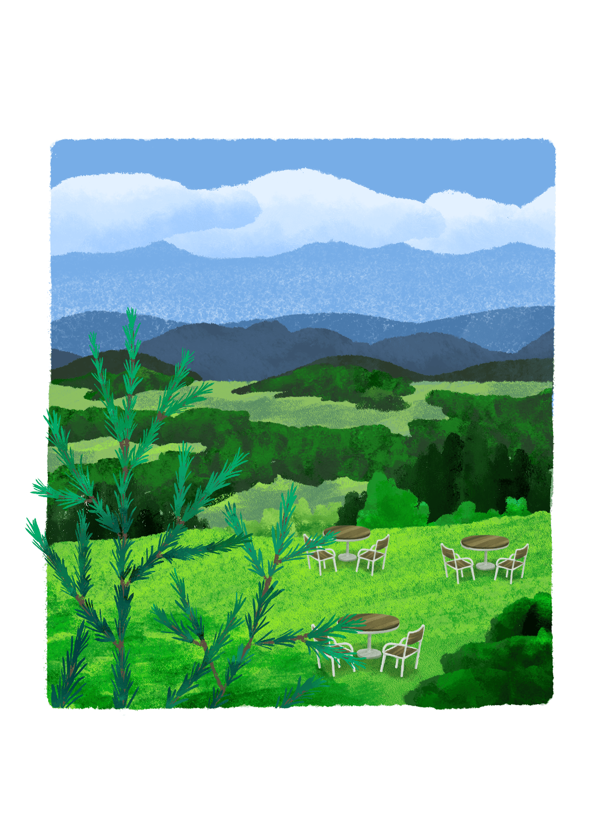 見晴らしのいい高原