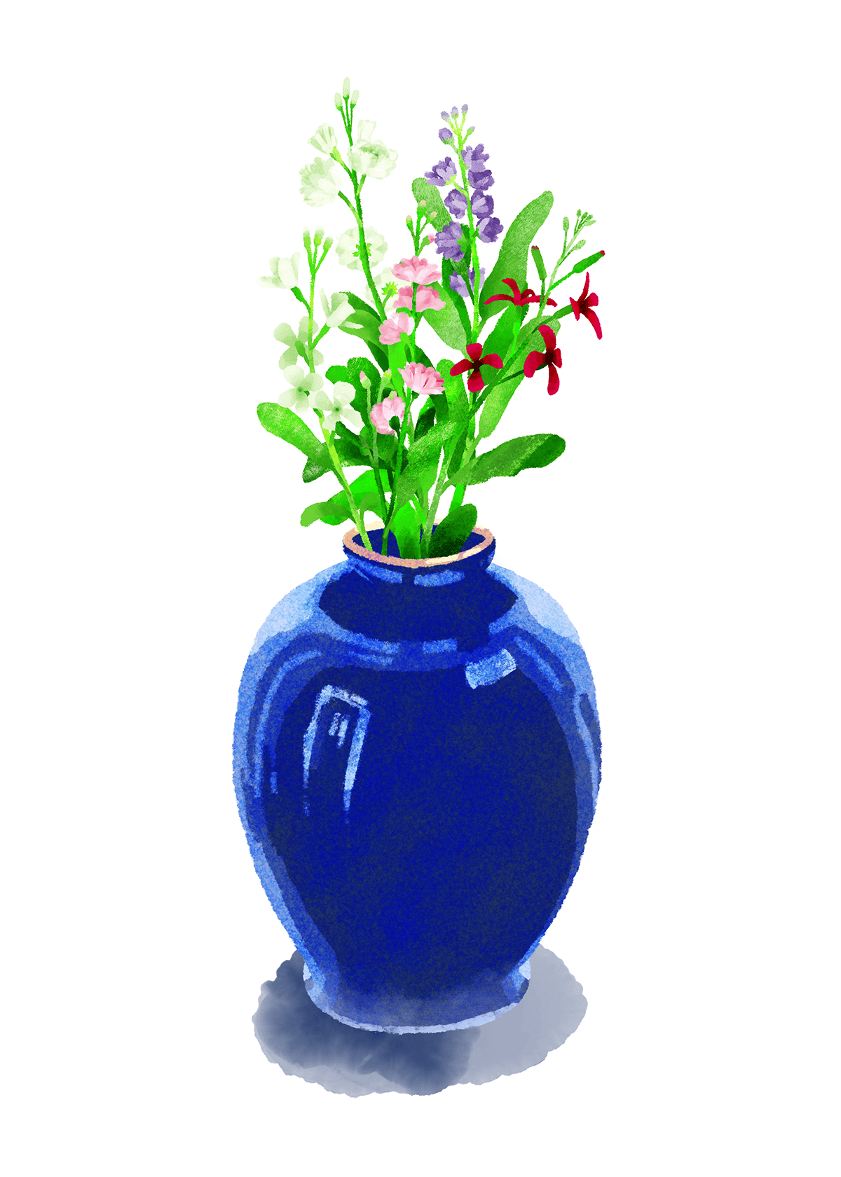 花瓶のアラセイトウ