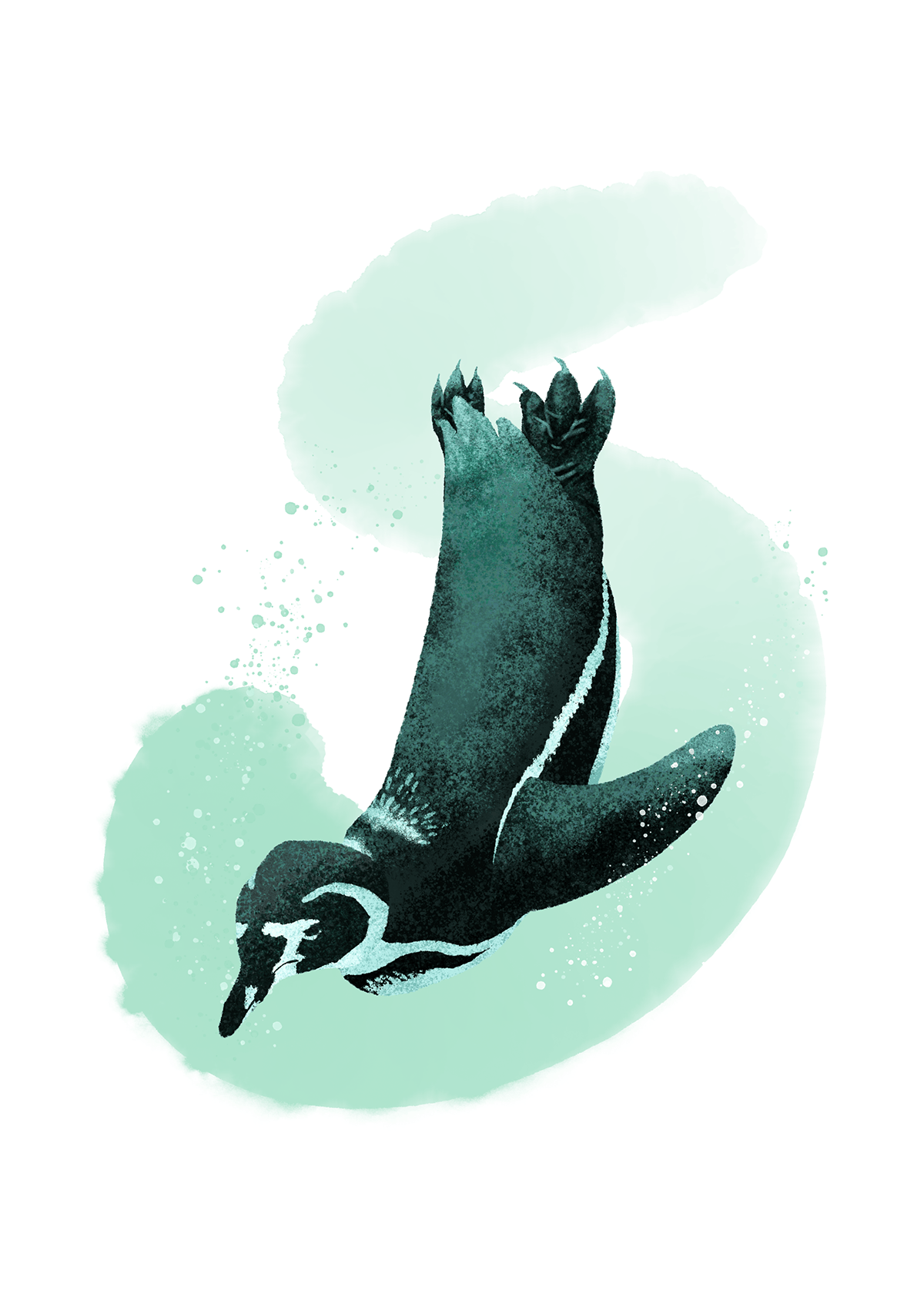 ザブッと飛び込むペンギン