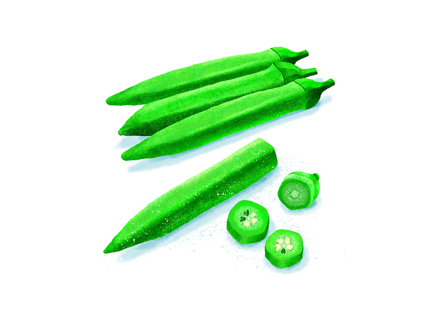 オクラの中の桜