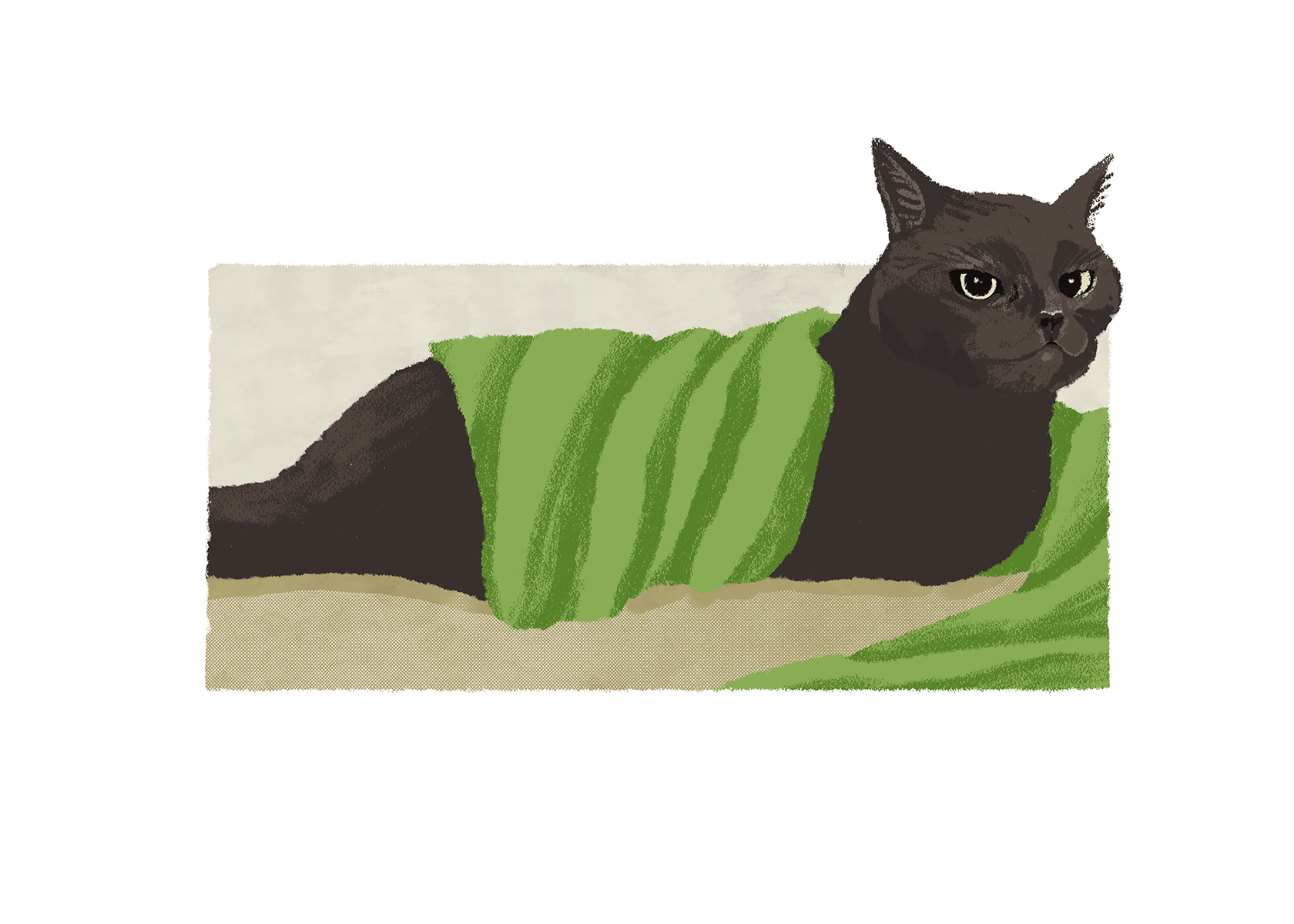 布にくるまる猫