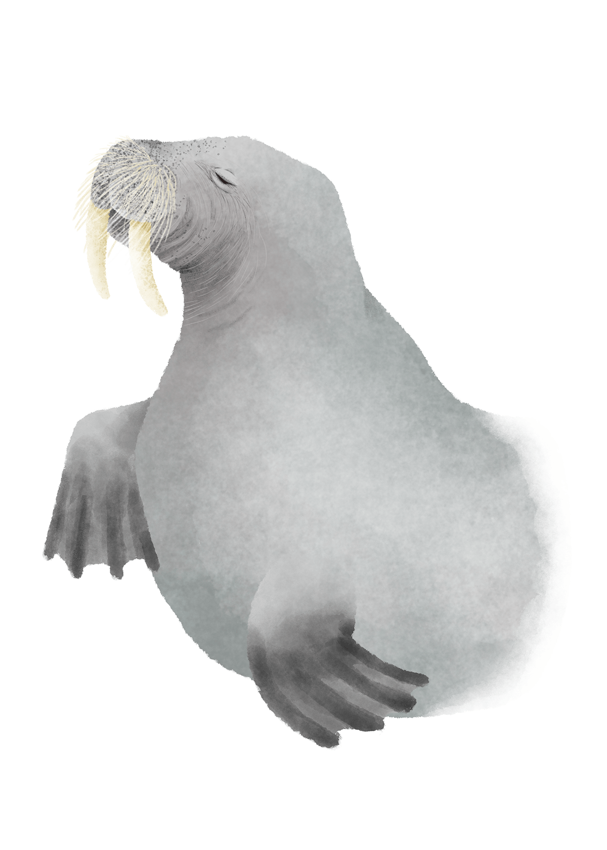 えっへんセイウチ