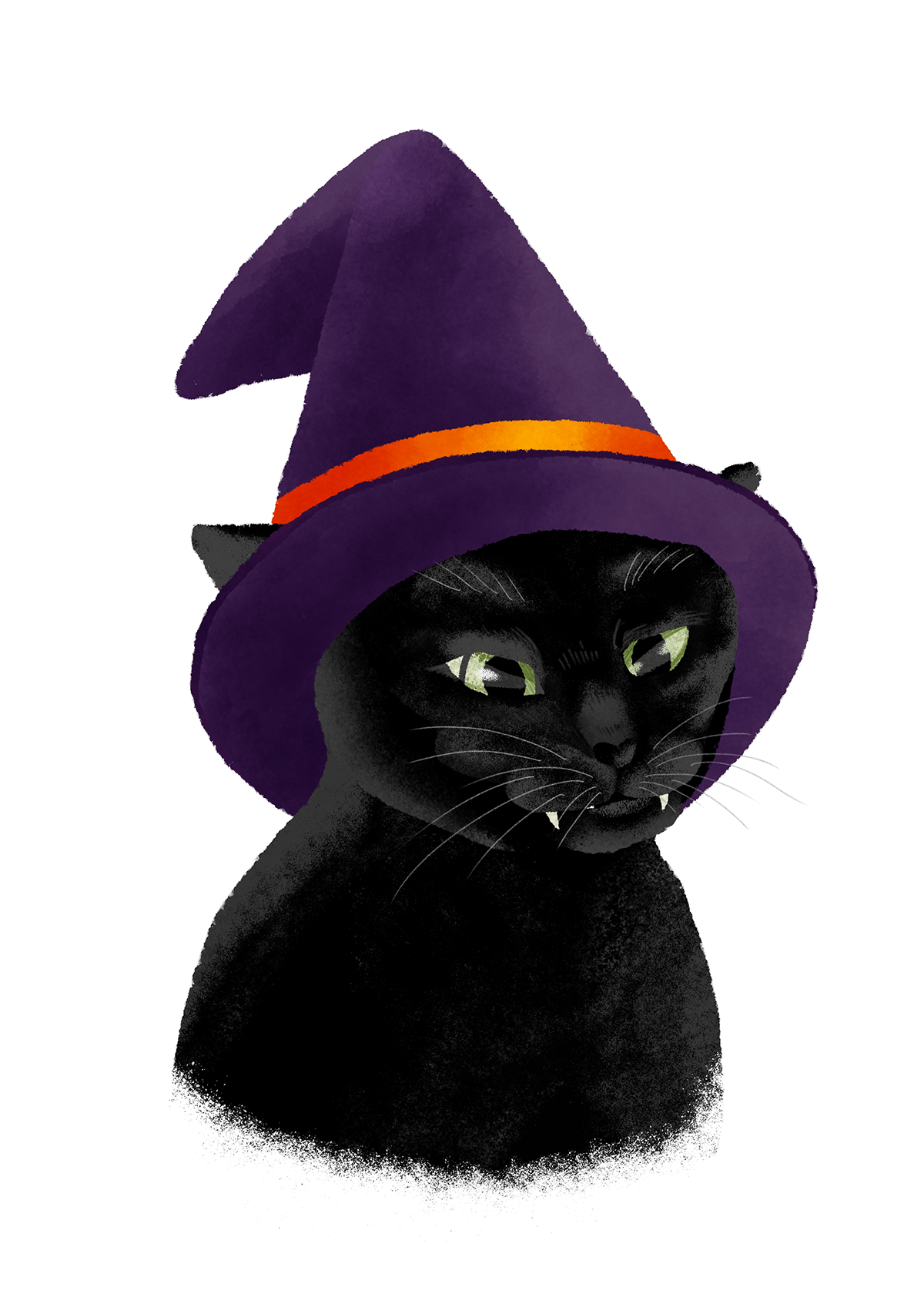 魔法使いの黒猫