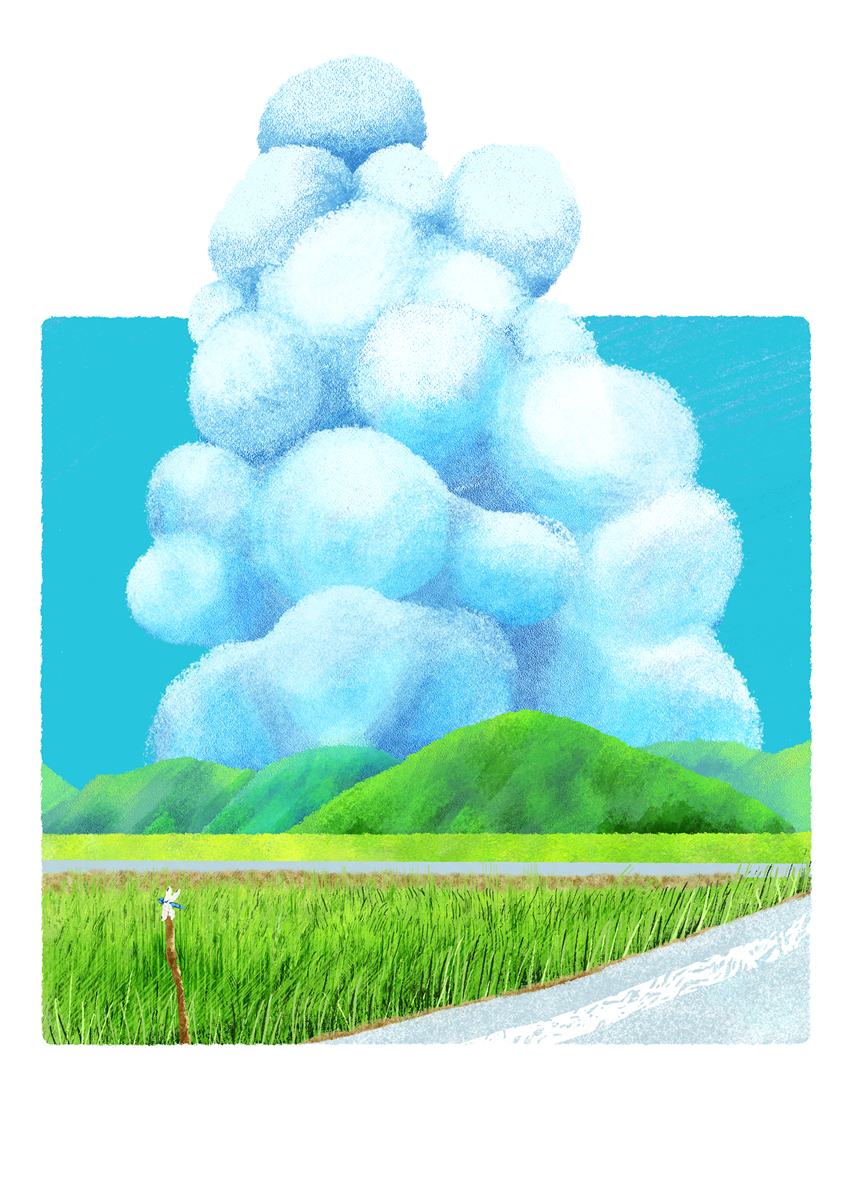 夏雲